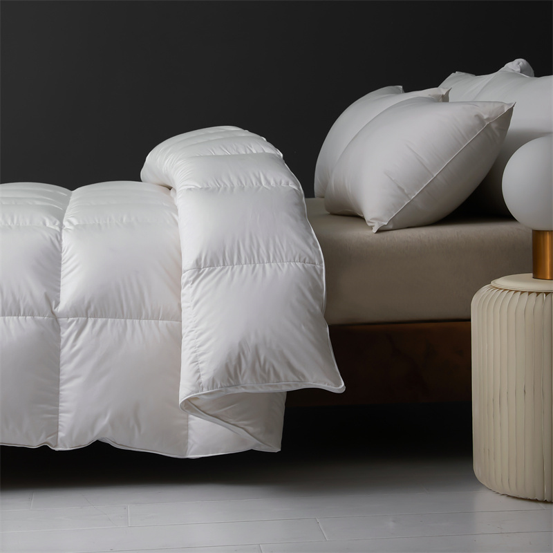 Påslakan dunfjäder Mjuk lätt täcke Täcke för vintern Påslakan dunfjäder Mjuk lätt täcke Täcke för vintern