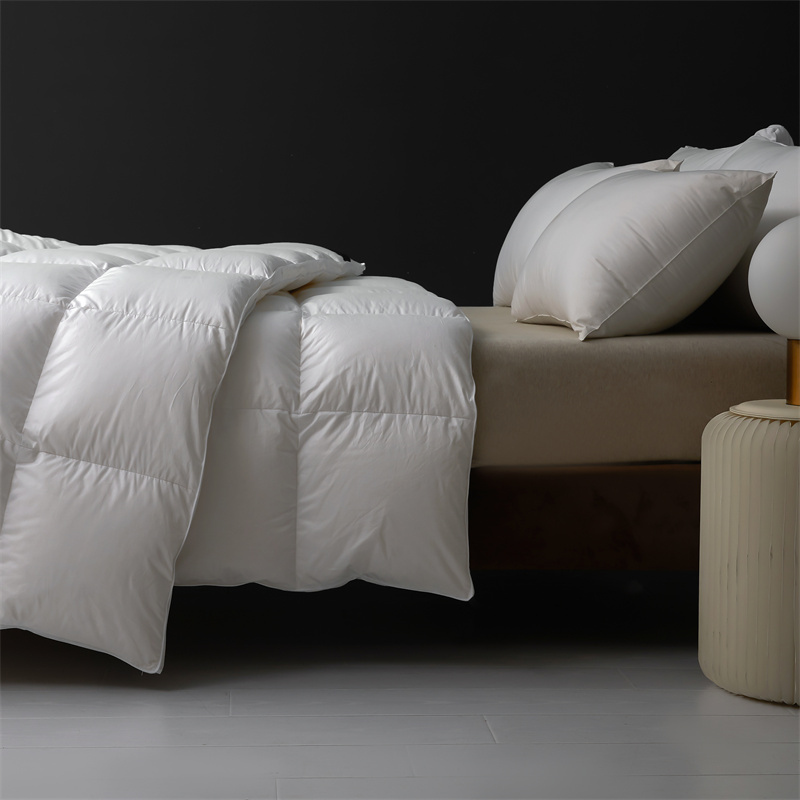 Påslakan dunfjäder Mjuk lätt täcke Täcke för vintern Påslakan dunfjäder Mjuk lätt täcke Täcke för vintern